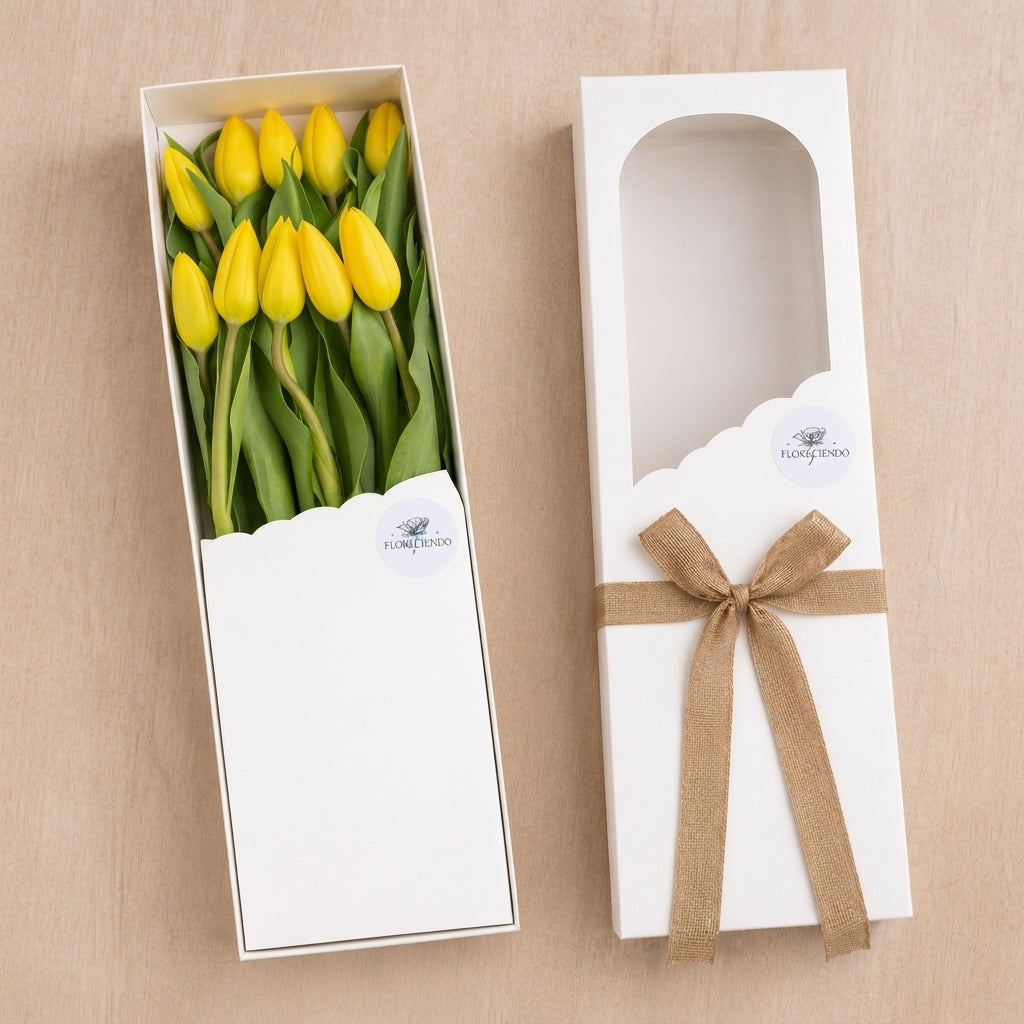 Caja de 10 Tulipanes Amarillos