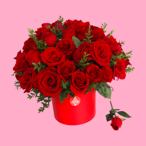 Box Romance Perfecto