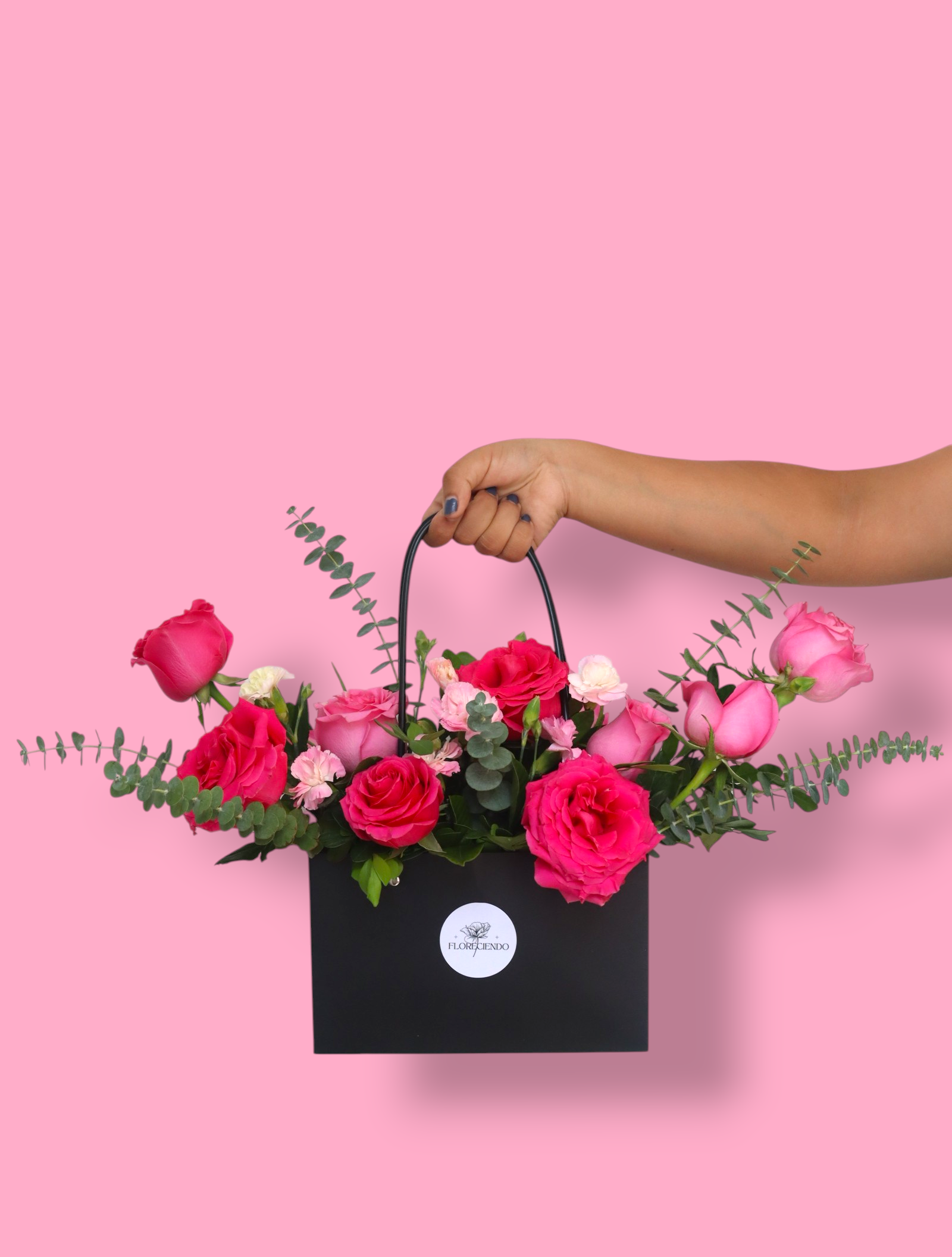 CARTERA BLUSH